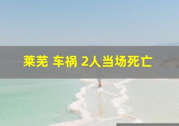 莱芜 车祸 2人当场死亡